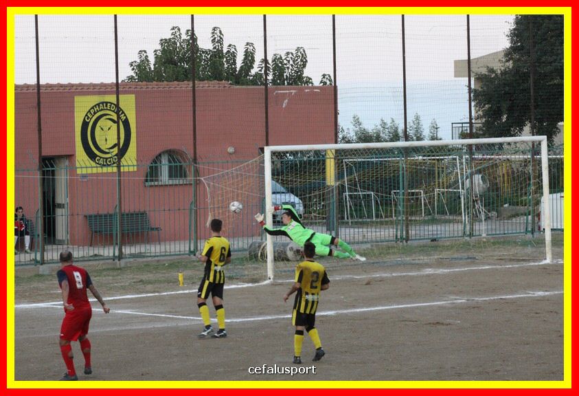 181111 Cepha_Milazzo 261_tn.JPG